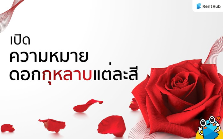 เปิดความหมาย(ลับ)สุดซึ้งของดอกกุหลาบแต่ละสี ที่คุณไม่เคยรู้!