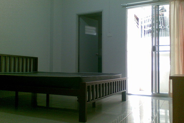 Living Green Mansion — photo 3