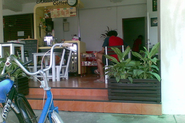 Living Green Mansion — photo 2