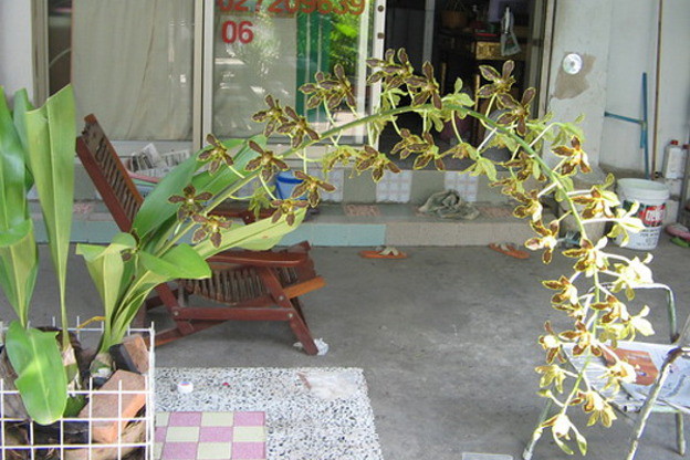 Condo · Prawet, bangkok — photo 1