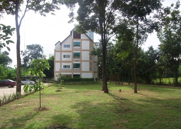 Mango Forest — photo 2