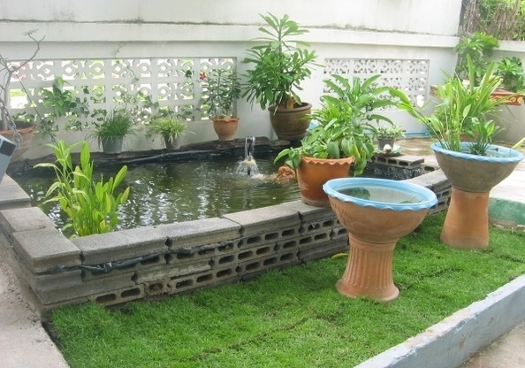 chawiwon — photo 3