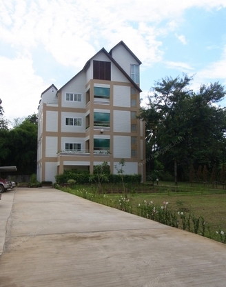 Mango Forest — photo 1