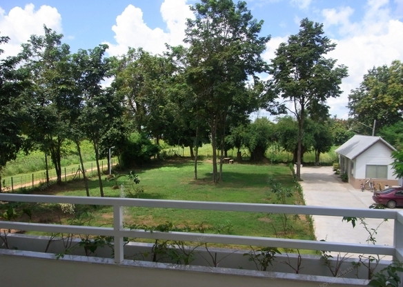 Mango Forest — photo 4