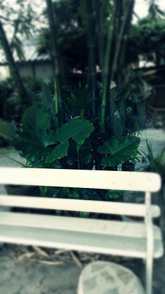 Condo · Bang Bua Thong — photo 3