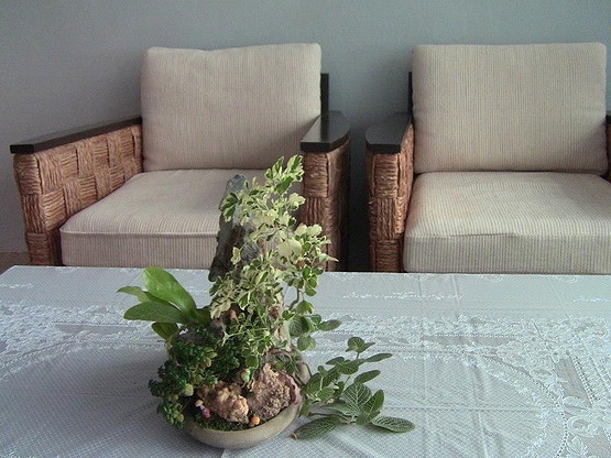 greenguest house — photo 5