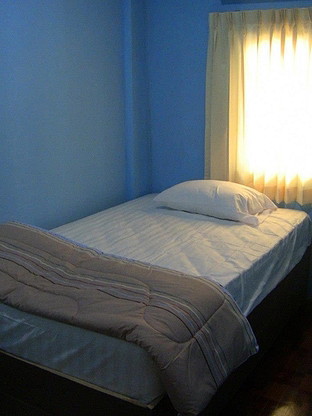 greenguest house — photo 4