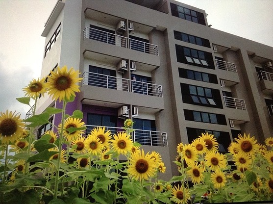 Condo — photo 1