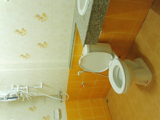 Condo — photo 5