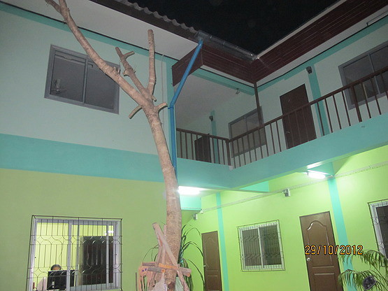 Condo — photo 5