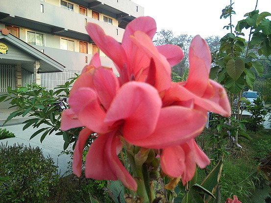 Condo · Mueang Nonthaburi — photo 4