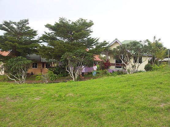 Condo — photo 3