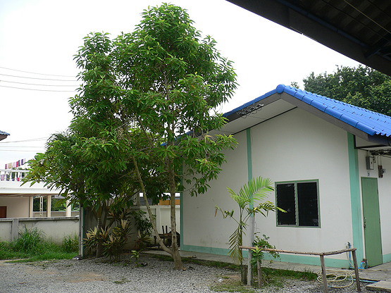 Condo · Si Racha, chon_buri — photo 5