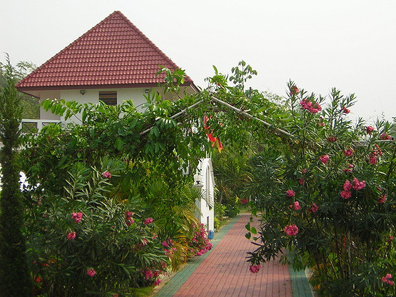 Condo · San Sai, chiang_mai — photo 1
