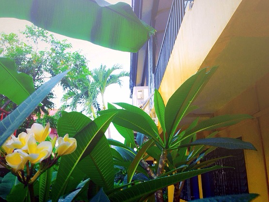 Condo — photo 3