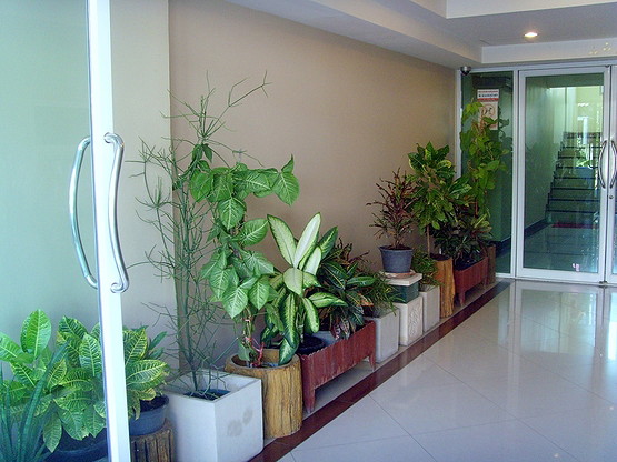 Condo — photo 4