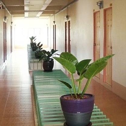 Condo — photo 4