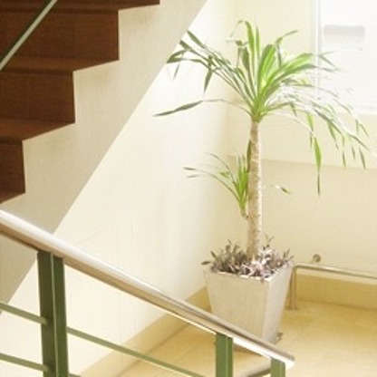 Condo — photo 5