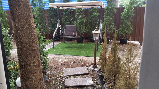 The Delicate Lifestyle — photo 4