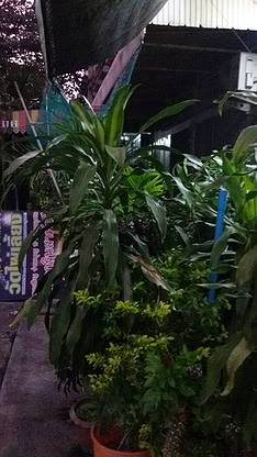 Condo · Nong Khaem, bangkok — photo 3