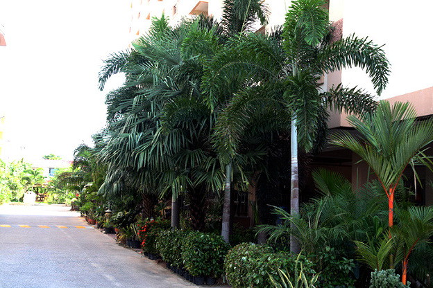 Nature residence — photo 3