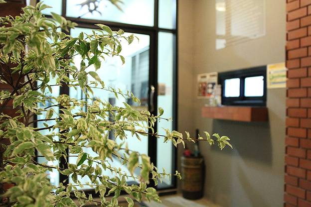 Condo — photo 5