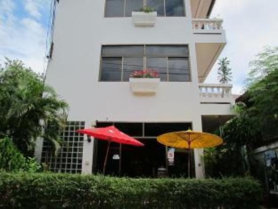 The Red Hibiscus — photo 1