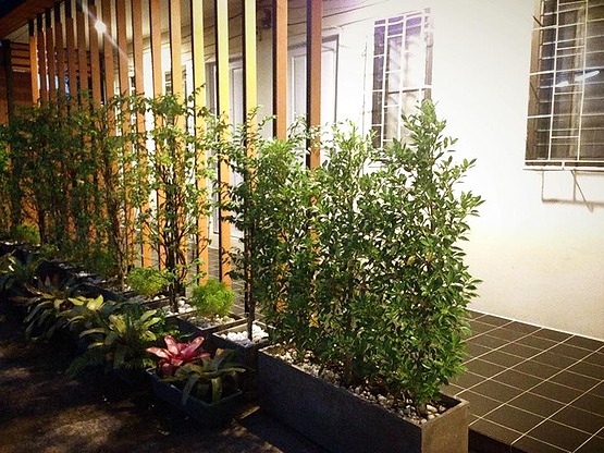 Condo — photo 3