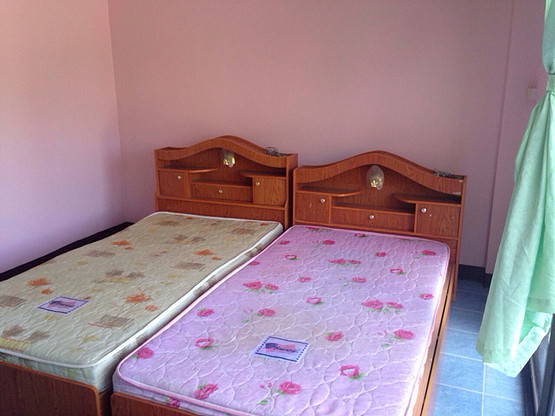 Panis Homea — photo 3