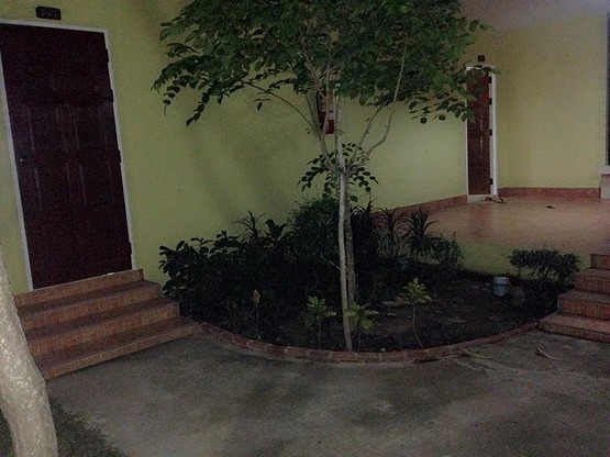 Condo — photo 4