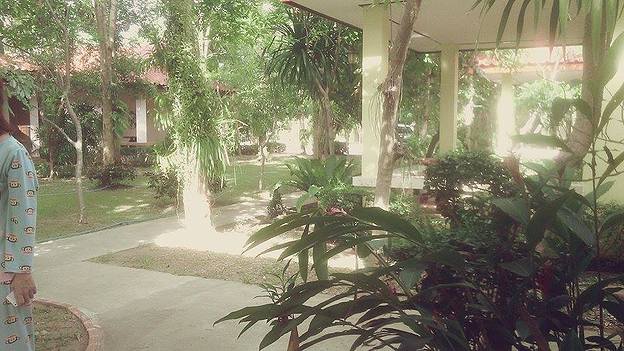 Condo — photo 3
