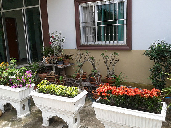 Condo — photo 5