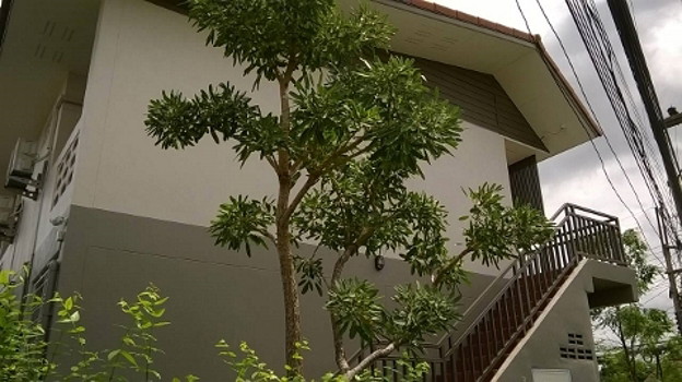 Condo — photo 3