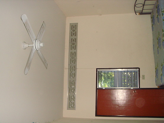 Condo — photo 5