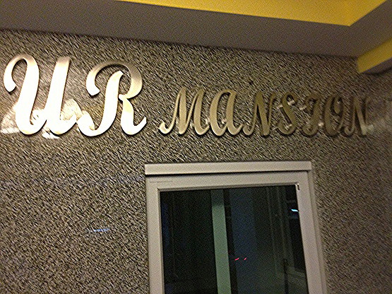 UR mansion — photo 2
