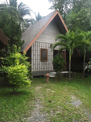 Condo · Saraphi, chiang_mai — photo 5
