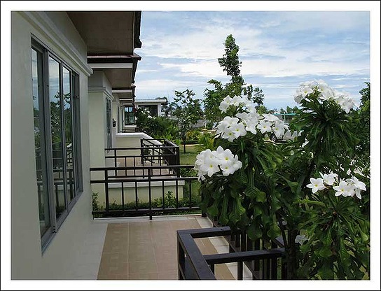Condo — photo 2