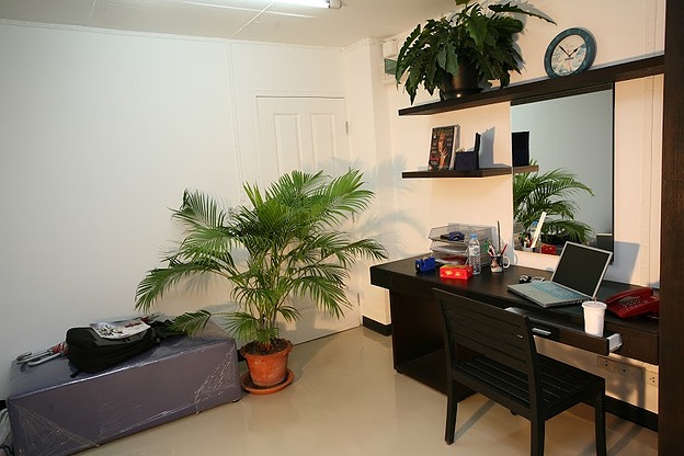 Condo · Phra Khanong, bangkok — photo 5