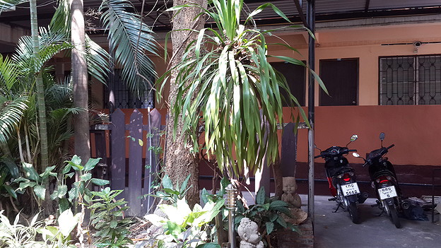 Condo — photo 2