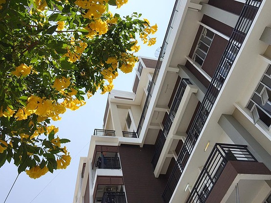 Condo — photo 3