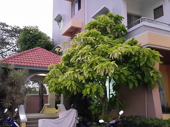 Condo — photo 3