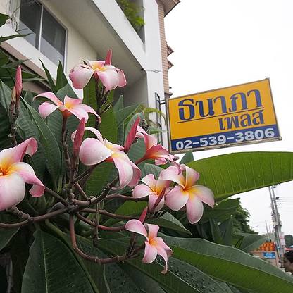 Thanapa place - Apartment for Rent