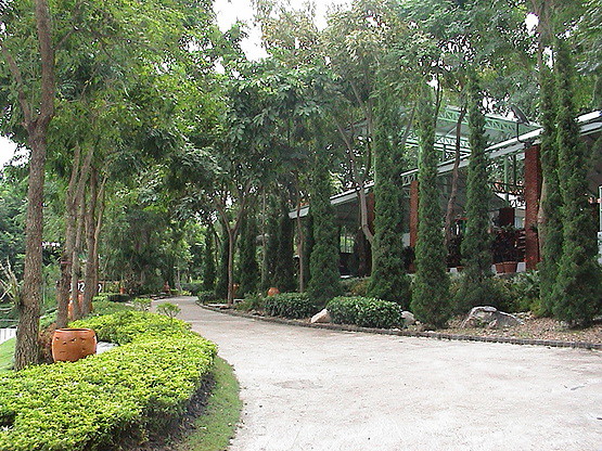 Condo — photo 5