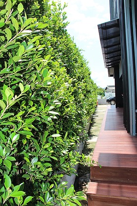 Condo · Mueang Chon Buri, chon_buri — photo 5