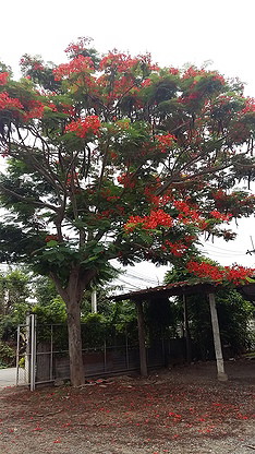 Condo · Mueang Chiang Mai, chiang_mai — photo 4