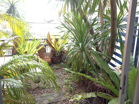Condo · Mueang Chon Buri, chon_buri — photo 5
