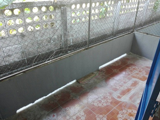 Condo — photo 5
