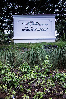 Condo — photo 3