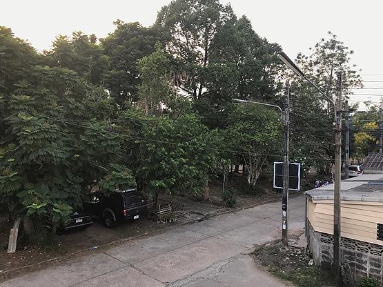 Condo — photo 5