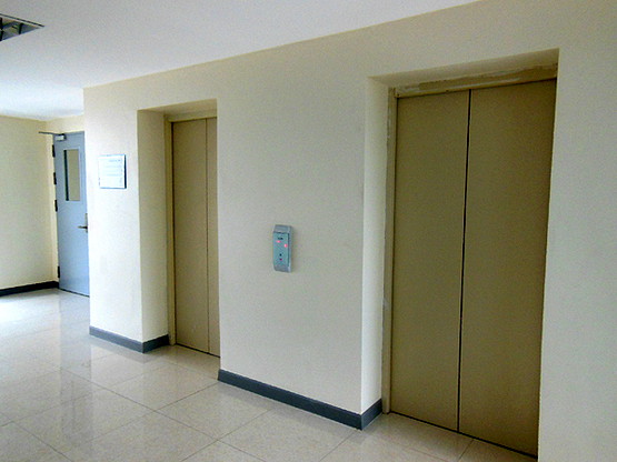 P.Tower — photo 4